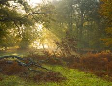 开云体育在线-破晓2026，当佩德里为传奇重新计时