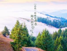 开云平台-绝境破晓，黄喜灿在抢七之夜的孤独舞步与英雄礼赞