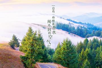 开云平台-绝境破晓，黄喜灿在抢七之夜的孤独舞步与英雄礼赞