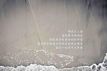 开云体育官网-橙色封锁，2026世界杯荷兰用两代传承困住克罗地亚黄金余晖