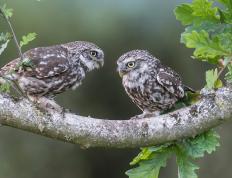 开云体育APP下载-奇才上演魔幻剧本，极致战术封锁让公牛愤怒撞墙