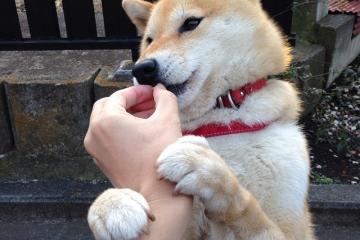 开云体育app-逆转时刻，巴西末节发力带走胜利，安哥拉虽败犹荣