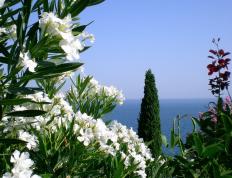 开云体育在线-跨越战火与绿茵，伊拉克对阵比利亚雷亚尔，托尼关键战不手软