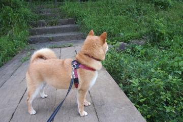 开云体育官网-美加墨世界杯之夜，拉什福德连续得分拉开差距，英格兰昂首晋级