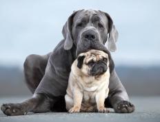 开云体育平台APP-天山脚下，里程碑与铁肘齐飞