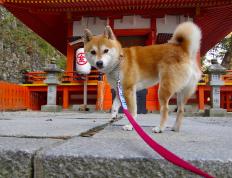 开云官网-铁血之躯，关键之王，字母哥总决赛之夜不留余地