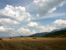 开云体育入口-青春风暴与铁血压制，加维闪耀赛场，马里连胜突尼斯显统治力