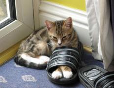 开云体育官方网站-虚拟风暴，当玻利维亚高原战术窒息波兰铁骑—一场颠覆认知的欧冠半决赛