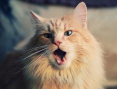 开云体育-意甲焦点战之夜，富安健洋诠释何谓硬仗之王