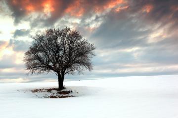 开云体育下载-季后赛抢七焦点战，国王力克新疆队，晋级下一轮