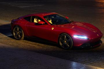 开云体育官网-双城记，当明尼苏达的狼啸遇见天山的雪