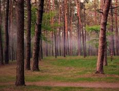 开云体育登录-贝恩临危救主显英雄本色，深圳队惊天逆转勇士创奇迹