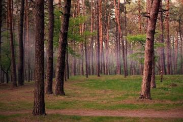 开云体育登录-贝恩临危救主显英雄本色，深圳队惊天逆转勇士创奇迹