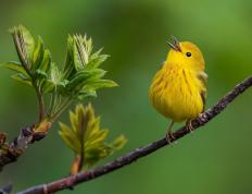 开云体育app-上海队争冠战力克辽宁队，马克西里程碑之夜铸就辉煌
