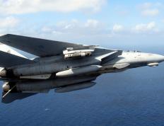 开云体育在线-鹰击长空与绿茵王冠，当竞技基因跨领域闪耀