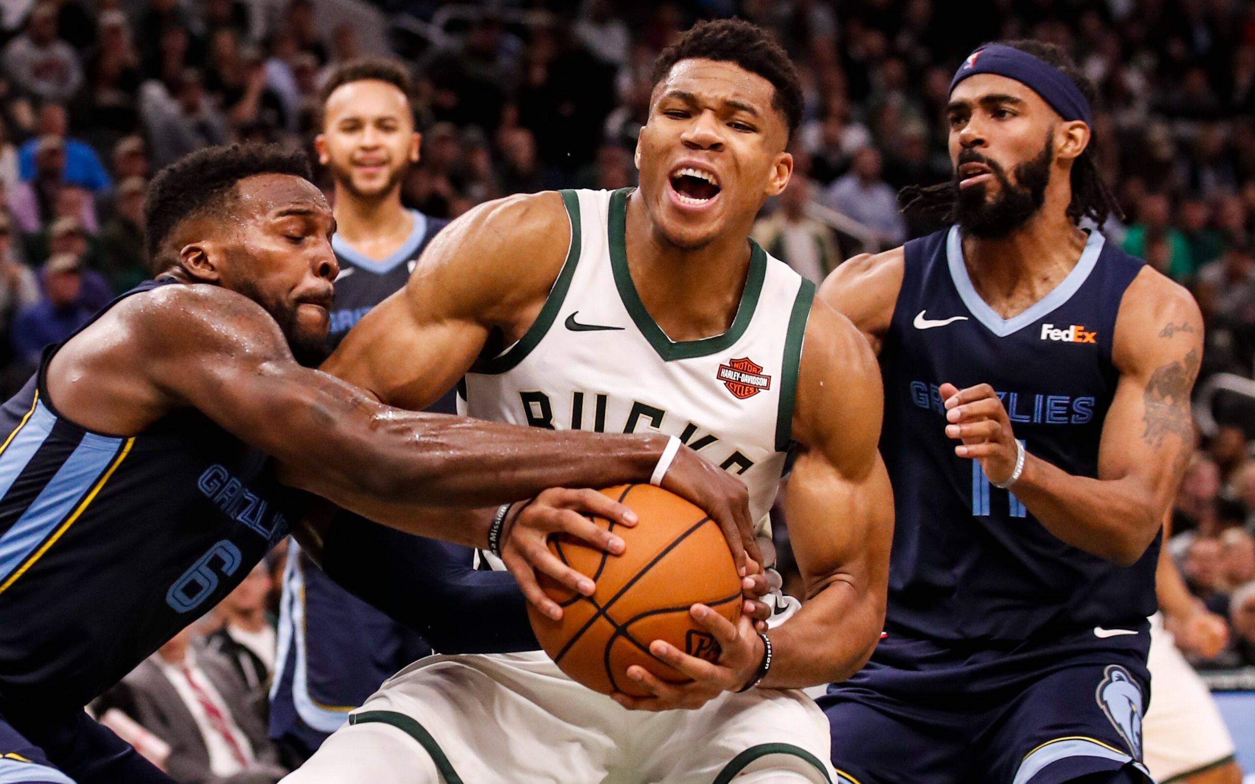 开云体育登录-雄鹿击败灰熊，榜首稳固