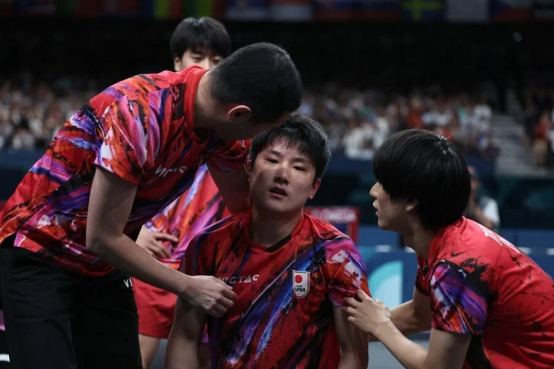 开云体育下载-波兰队轻取法国队,张本智和点燃赛场