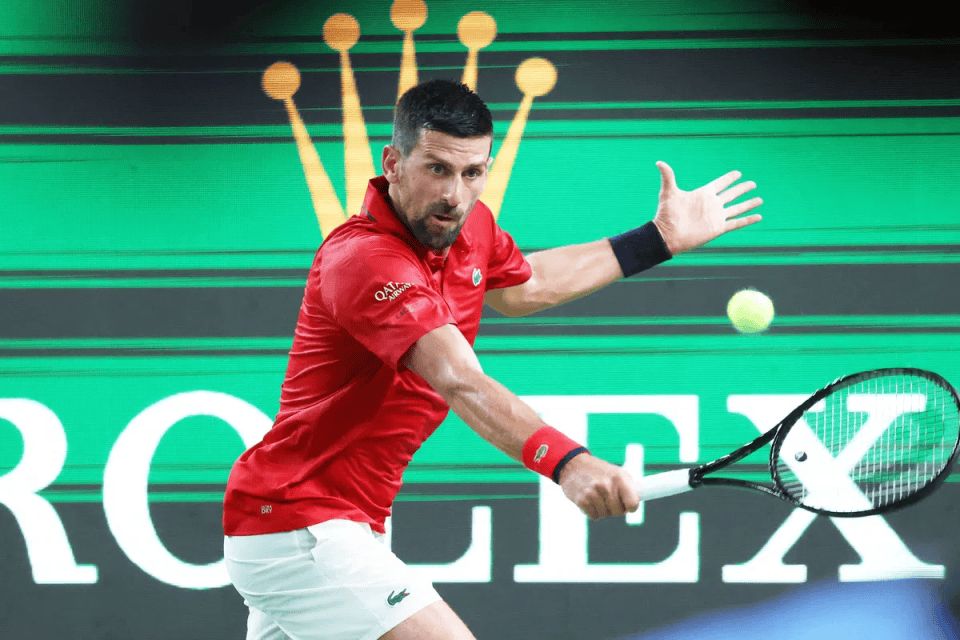 开云体育中国-拉沃尔杯力克ATP总决赛，德约科维奇扛起全队