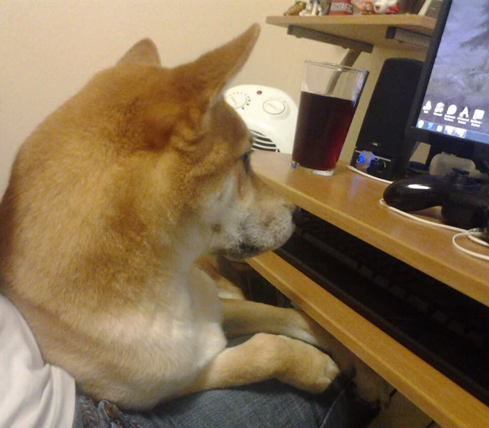 开云体育中国-牛气冲天，封喉深圳 年度焦点战公牛淘汰深圳队