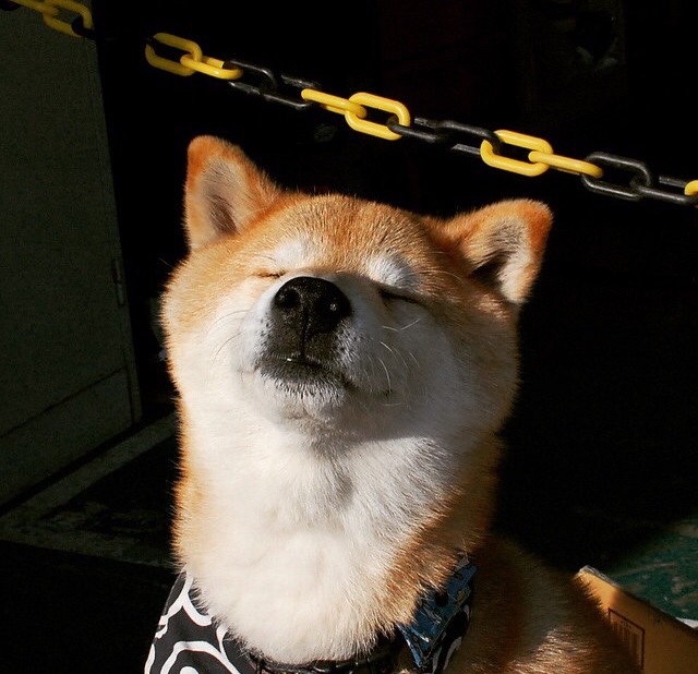 开云体育在线-爱德华兹狂飙秀！广东队血战魔术，单节24分演绎个人英雄主义与团队博弈