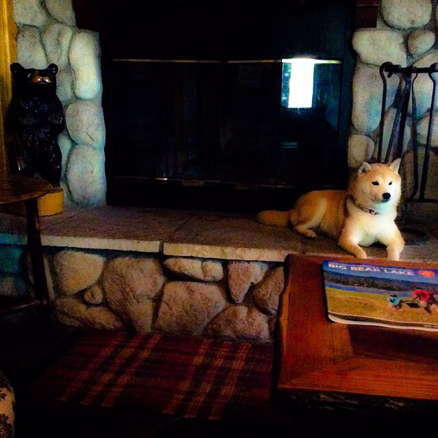 开云体育在线-芬兰惊险取胜贝蒂斯，布雷默挺身而出成关键先生