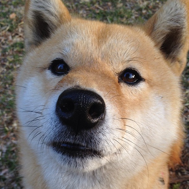 开云体育APP下载-范弗利特冷血三分弑旧主！步行者窒息防守强压奇才