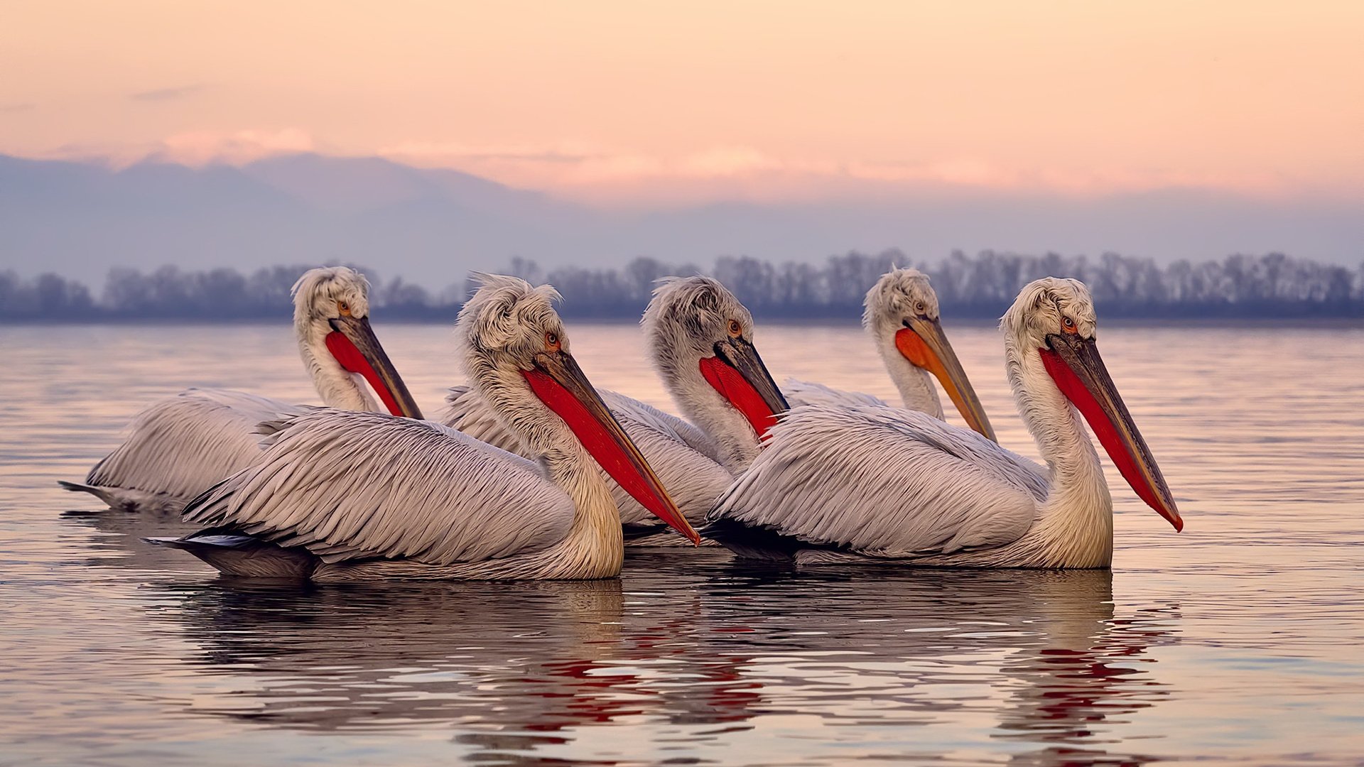 开云体育登录-迪巴拉一剑封喉，国际米兰碾过马赛驶向欧冠王座