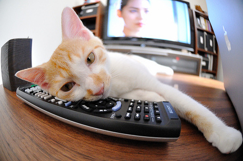 开云体育app-引擎的咆哮,突破的暗语,当F1街道赛遇见布伦森的持续杀伤