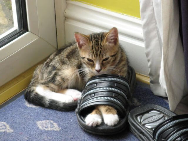 开云体育官方网站-基米希压制级发挥难救主，英格兰补时绝杀德国上演逆转奇迹