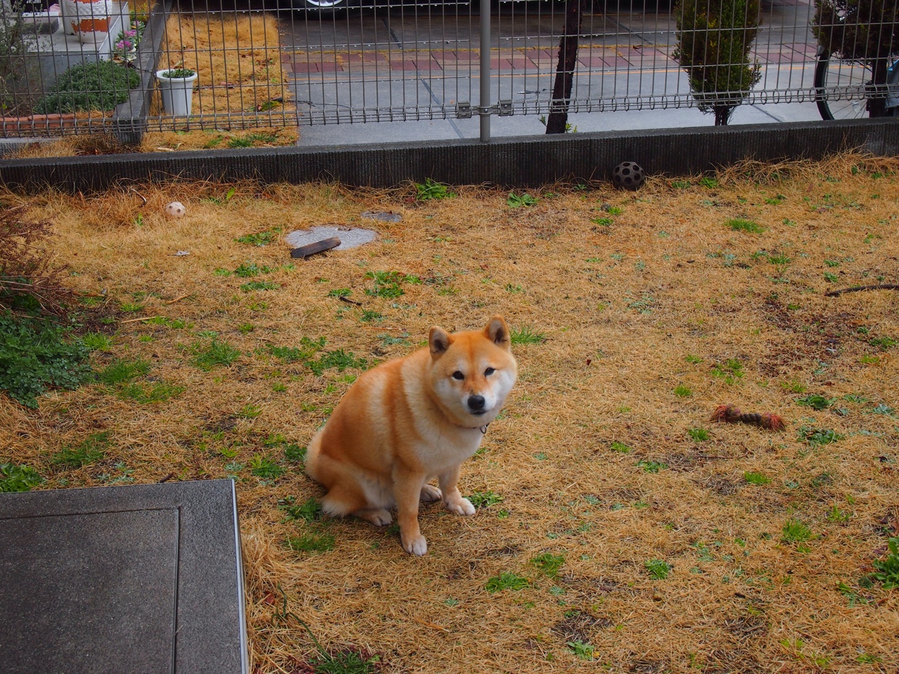 开云官网-马丁内利光芒四射，玻利维亚爆冷斩落比利时，足球世界的奇迹之夜