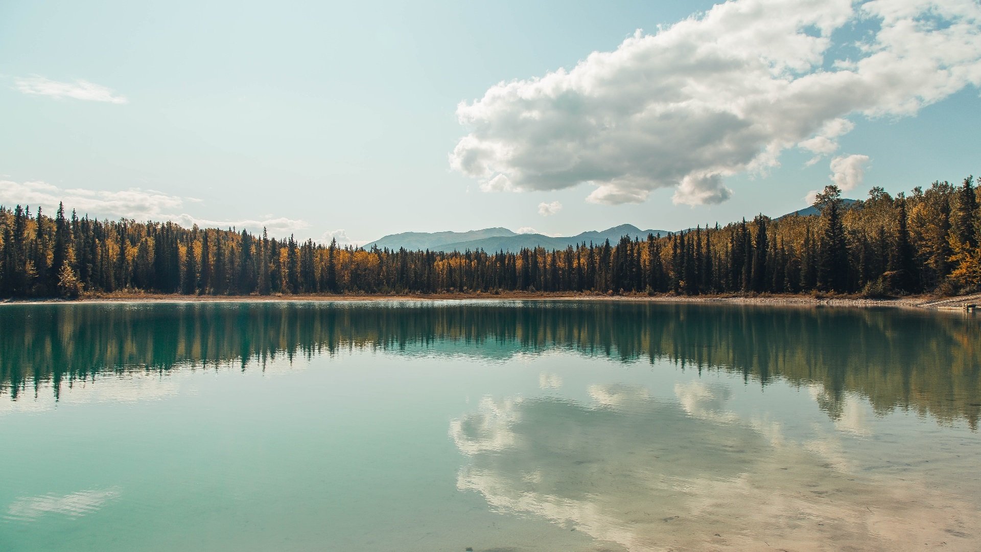 开云体育登录-宇宙新王,伦纳德跨越时空的一击