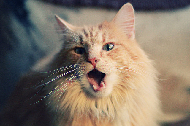 开云体育-意甲焦点战之夜，富安健洋诠释何谓硬仗之王