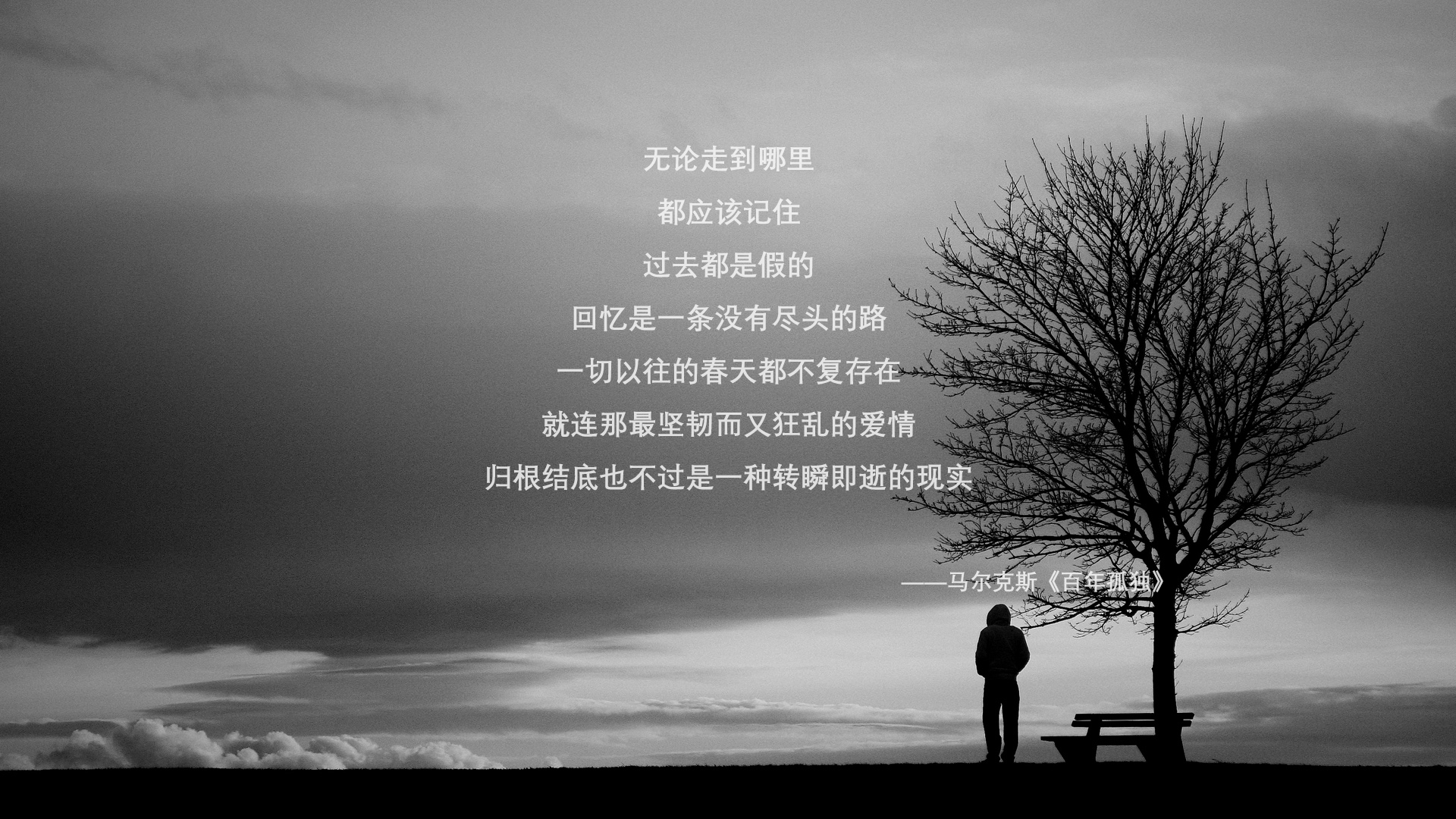 开云APP-帕尔默一剑封喉，法兰西军团战术碾压制胜，沙特雄心遭重击