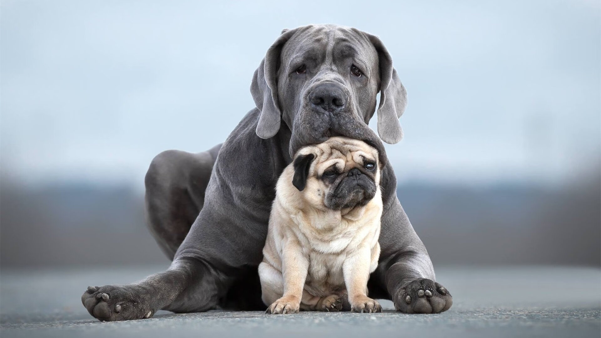 开云体育app-单点爆破的胜利，当战术铁幕遭遇天才锋芒