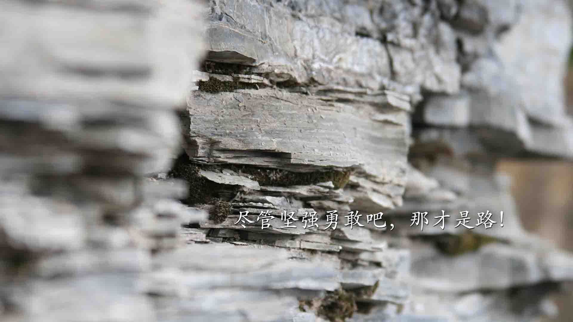 开云体育平台APP-冰火两重天,克瓦拉茨赫利亚单骑闪耀,瑞士压哨绝杀刺痛中国