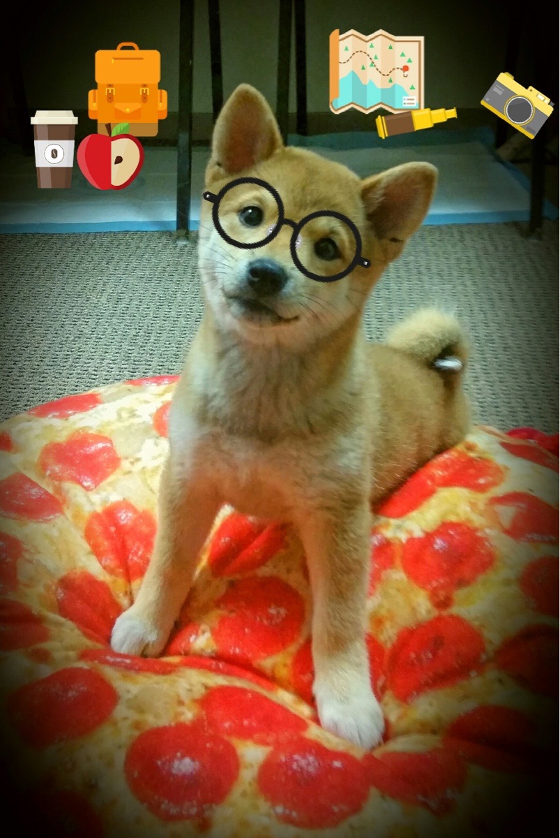 开云体育下载-2026美加墨世界杯焦点战，亚特兰大血拼挪威，东道主美国逆袭北欧劲旅